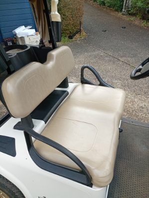 2022 Petrol EZGO Golf Cart (Shipping not included)
