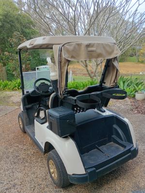 2022 Petrol EZGO Golf Cart (Shipping not included)