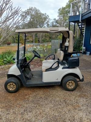 2022 Petrol EZGO Golf Cart (Shipping not included)