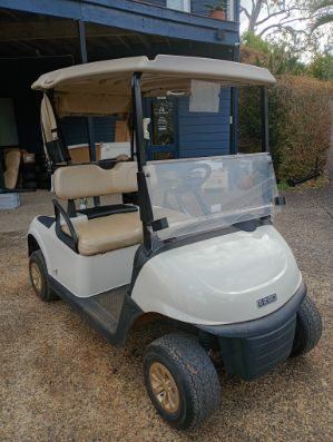 2022 Petrol EZGO Golf Cart (Shipping not included)